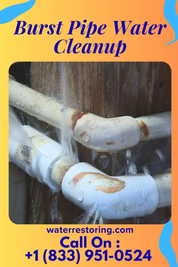 Burst Pipe Water Cleanup in Forest Park, IL