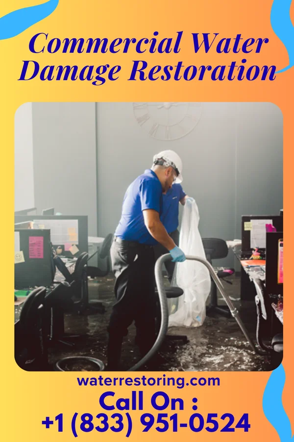 Commercial Water Damage Restoration in Forest Park, IL